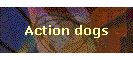 Action dogs